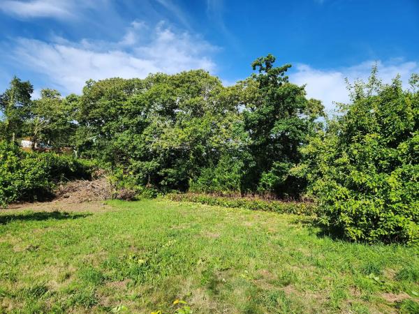 Terreno en Trasanquelos s/n