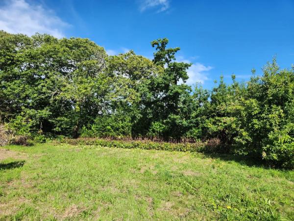 Terreno en Trasanquelos s/n