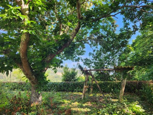 Terreno en Trasanquelos s/n