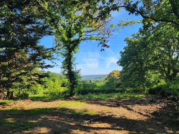 Terreno en Trasanquelos s/n