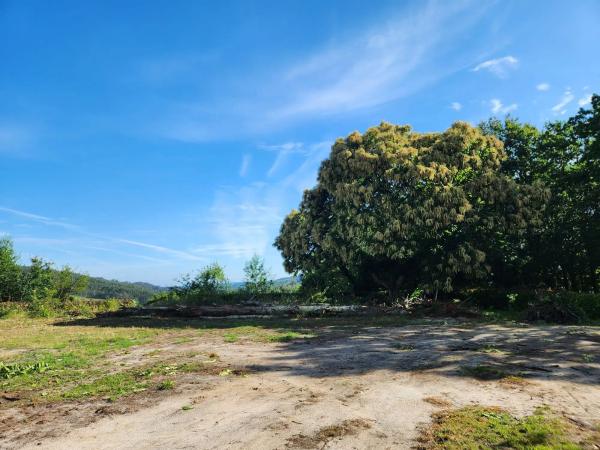 Terreno en Trasanquelos s/n
