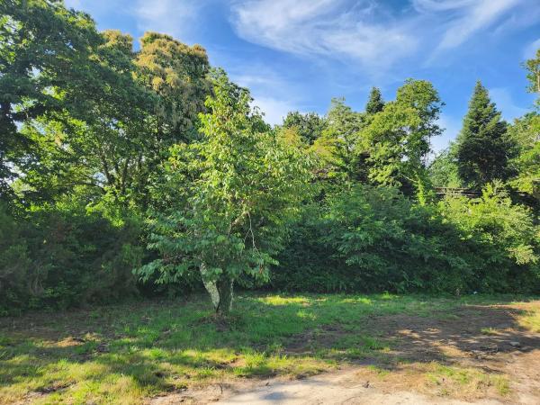 Terreno en Trasanquelos s/n