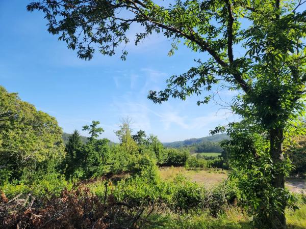 Terreno en Trasanquelos s/n