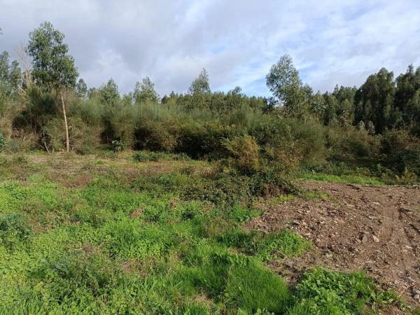 Terreno en Coiros