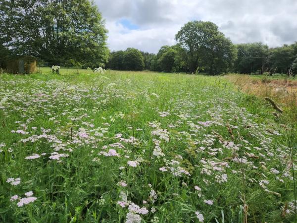 Terreno en Lugar Carroipaz, 5