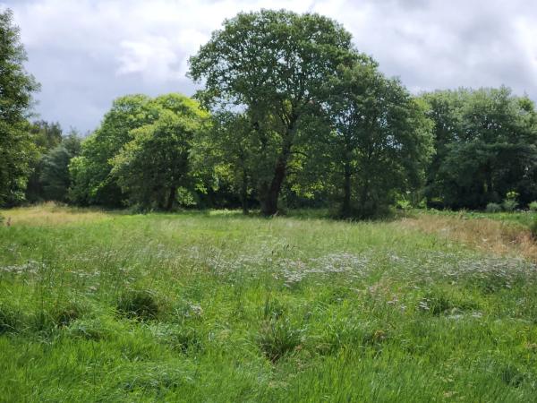 Terreno en Lugar Carroipaz, 5