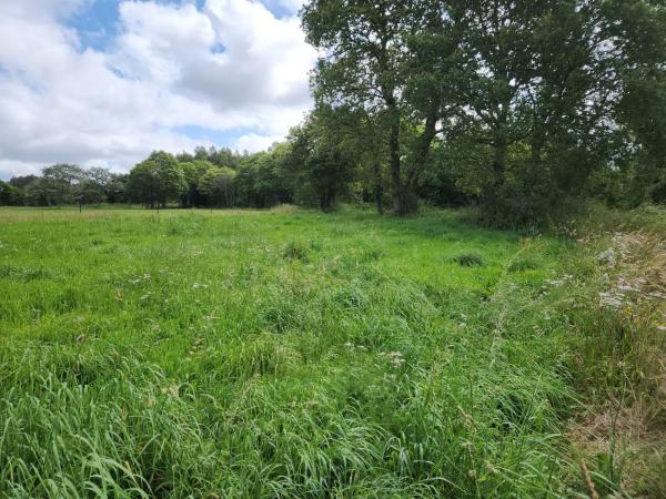 Terreno en Lugar Carroipaz, 5