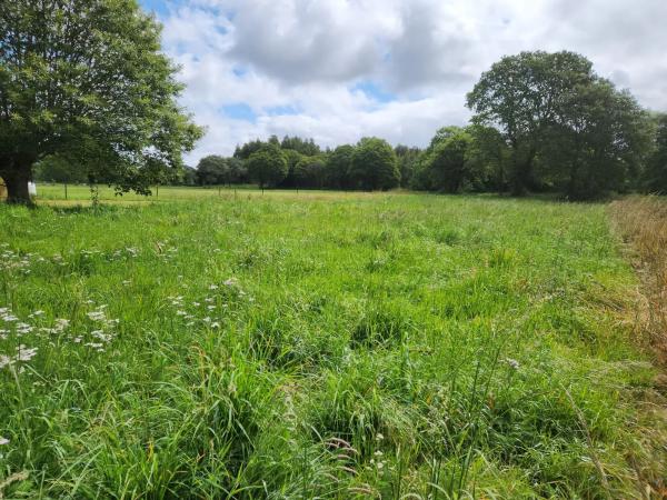 Terreno en Lugar Carroipaz, 5