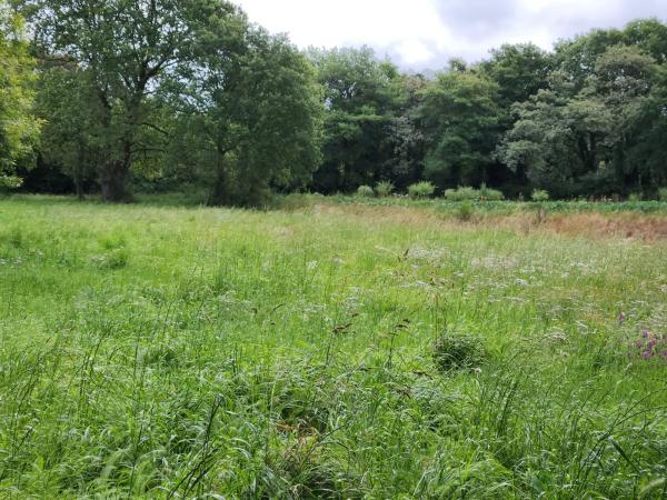 Terreno en Lugar Carroipaz, 5