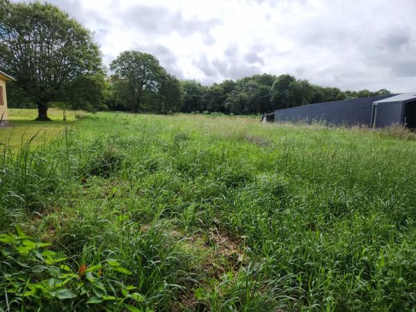 Terreno en Lugar Carroipaz, 5