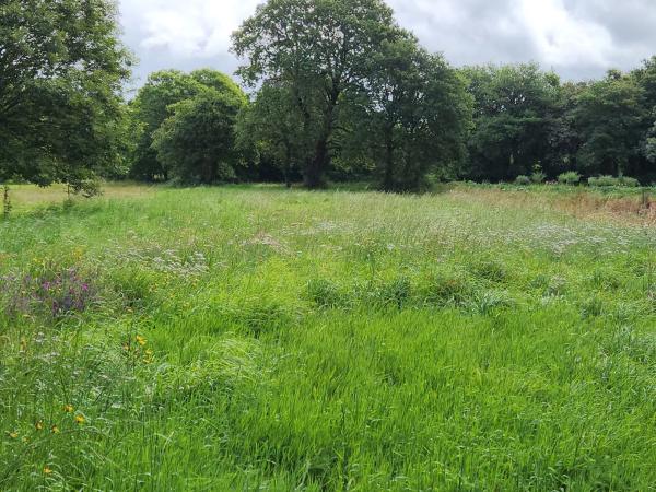 Terreno en Lugar Carroipaz, 5