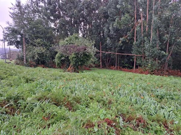 Terreno en Lugar Pedreira