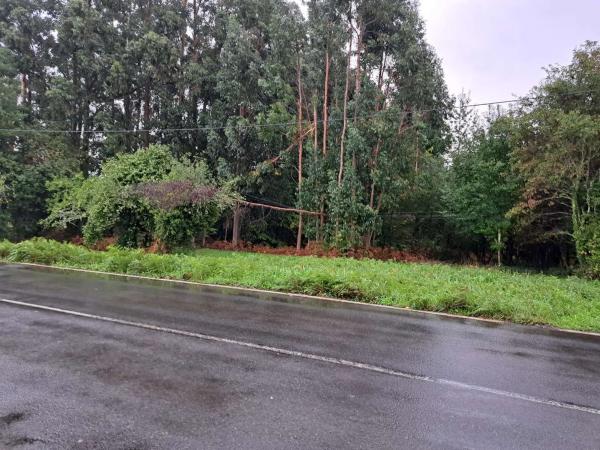 Terreno en Lugar Pedreira