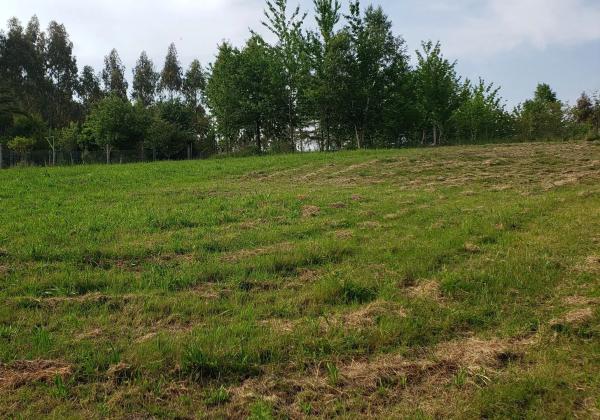 Terreno en Lugar Padornelo