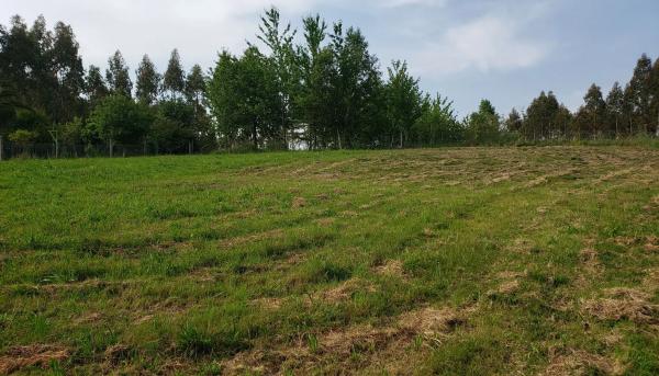Terreno en Lugar Padornelo