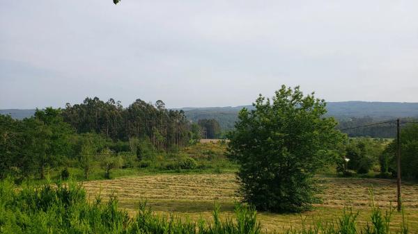 Terreno en Lugar Padornelo