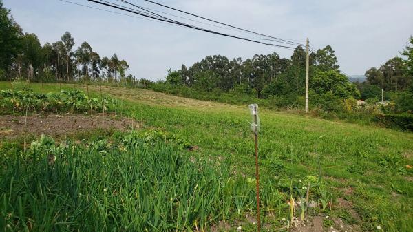 Terreno en Lugar Padornelo