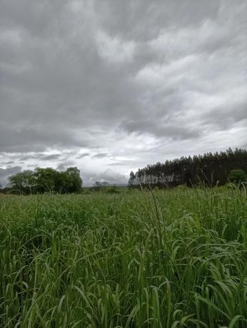 Terreno en Mazarelas, 8