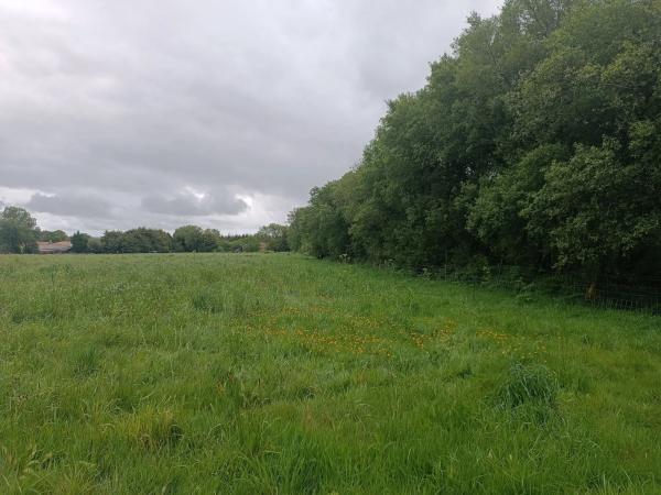 Terreno en Mazarelas, 8