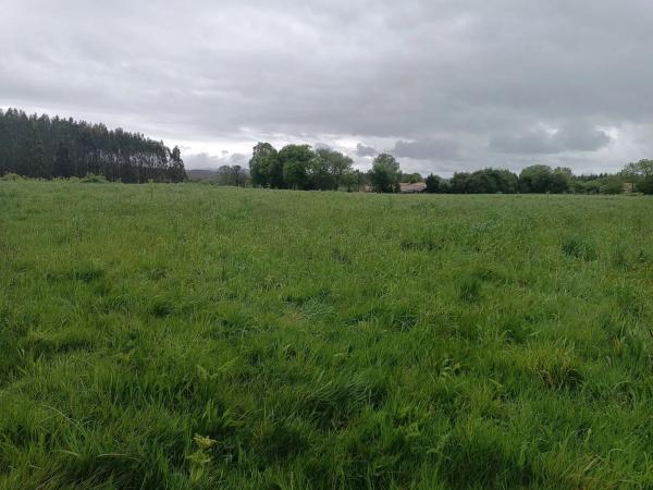 Terreno en Mazarelas, 8