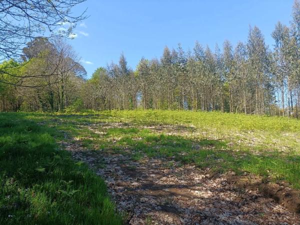 Terreno en Burricios