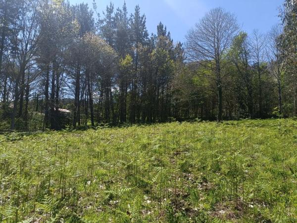 Terreno en Burricios