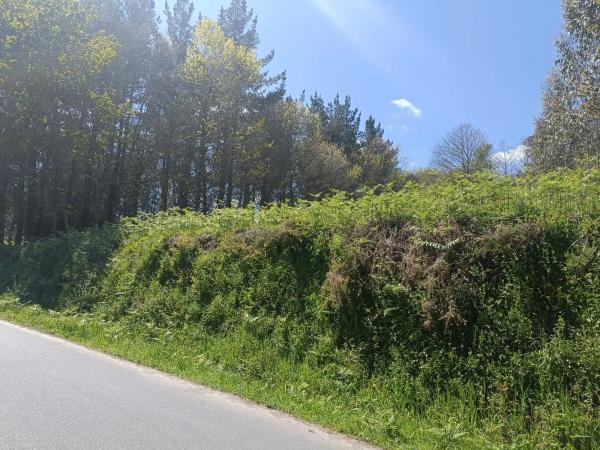 Terreno en Burricios