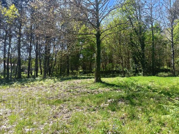 Terreno en Burricios