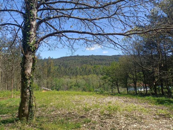 Terreno en Burricios