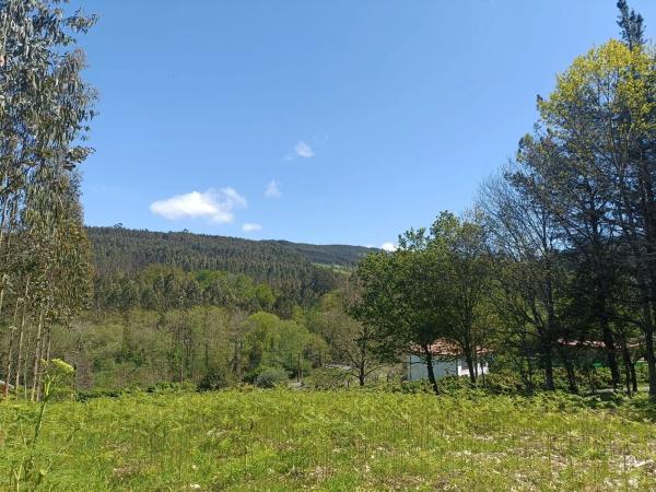 Terreno en Burricios