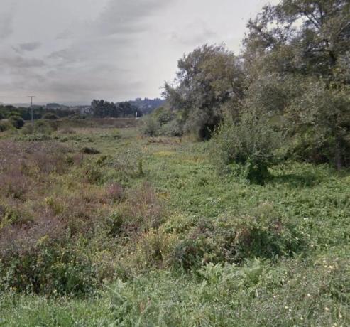 Terreno en Oza-Cesuras