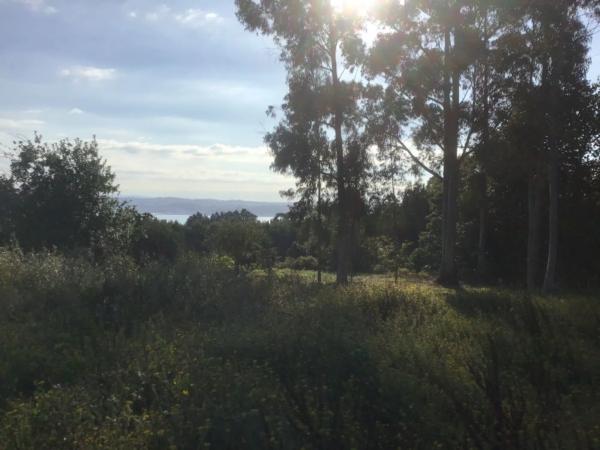 Terreno en Andel s/n