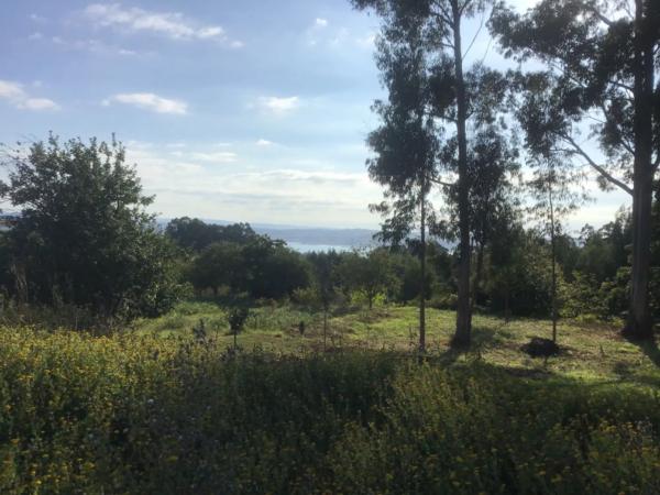 Terreno en Andel s/n