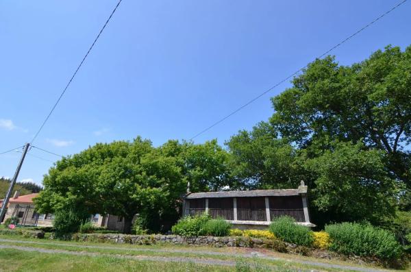 Terreno en camino Lugar a Laxe