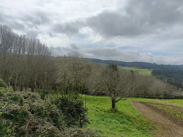 Terreno en Figueredo