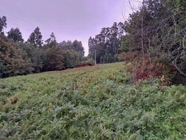 Terreno en Lugar Pedreira