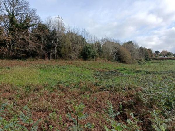 Terreno en Oza-Cesuras