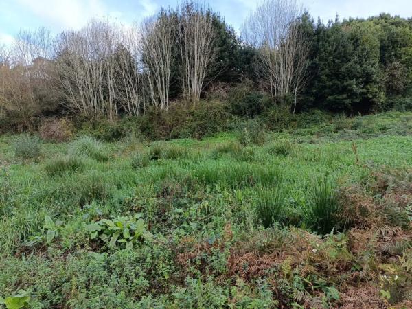 Terreno en Oza-Cesuras