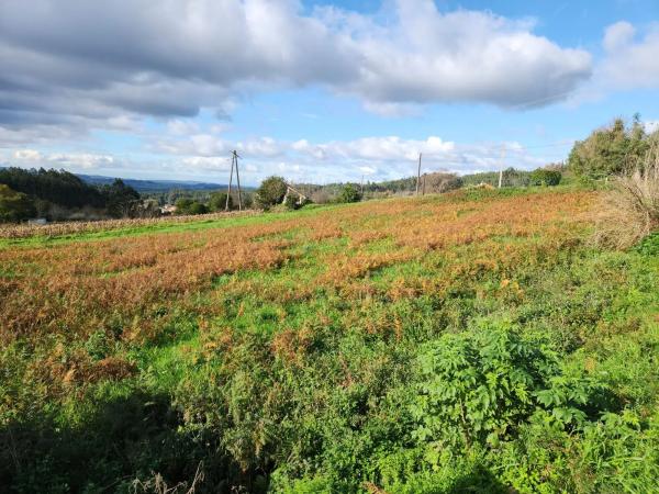 Terreno en Loureiro s/n