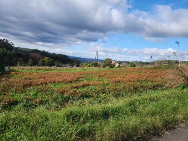 Terreno en Loureiro s/n