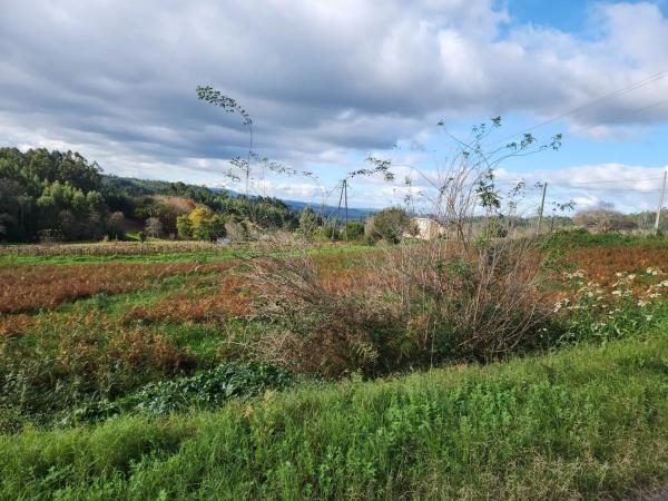 Terreno en Loureiro s/n