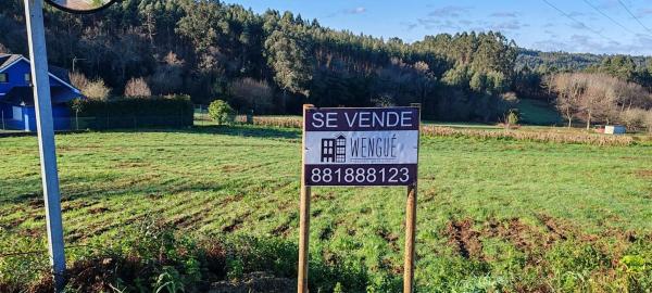 Terreno en Loureiro s/n