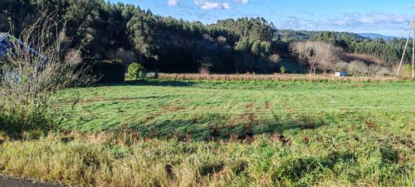 Terreno en Loureiro s/n