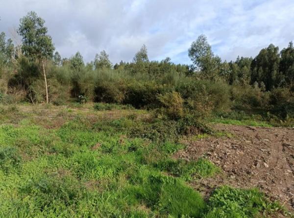 Terreno en Figueiras
