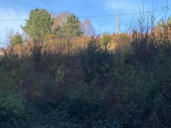 Terreno en ramon cabanillas