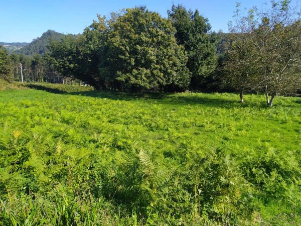 Terreno en Coiros