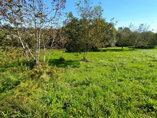 Terreno en Coiros