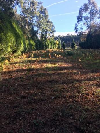 Terreno en Miño