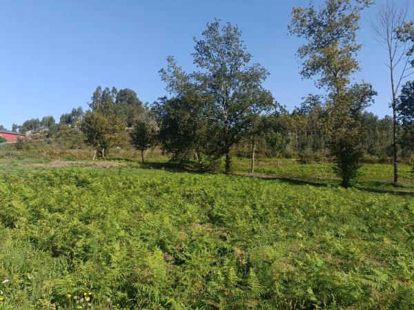 Terreno en Coirós Arriba