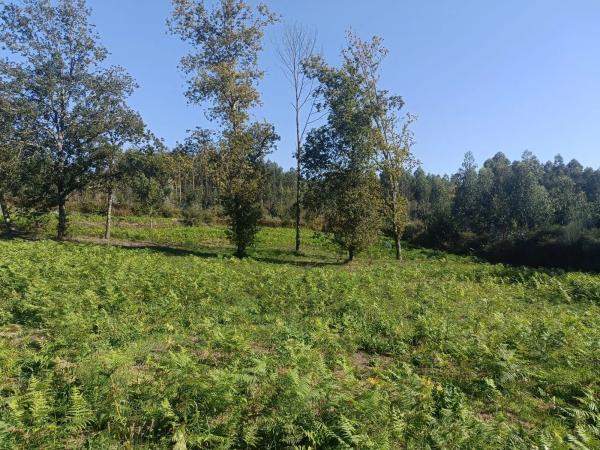 Terreno en Coirós Arriba